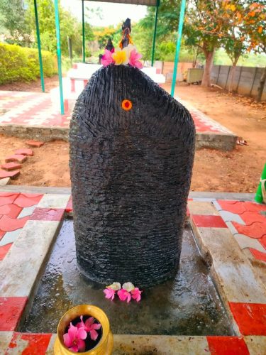 WhatsApp-Image-2025-10-15-at-4.41.56-PM