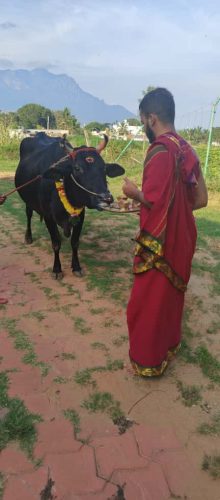 WhatsApp-Image-2025-10-15-at-4.41.59-PM-2