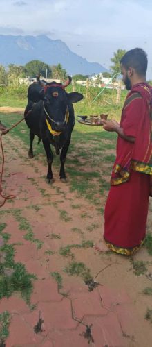 Gopuja on 15-10-2025