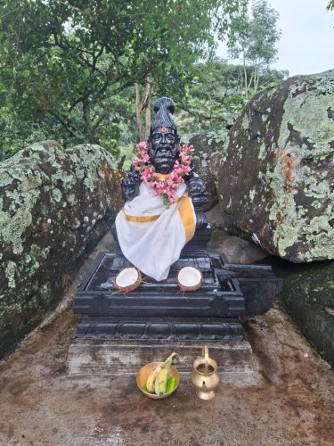 WhatsApp-Image-2025-10-16-at-2.45.20-PM