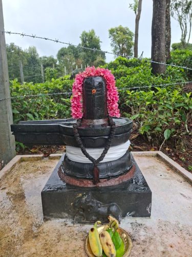 WhatsApp-Image-2025-10-16-at-2.45.27-PM