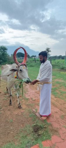 Gopuja on 16-10-2025