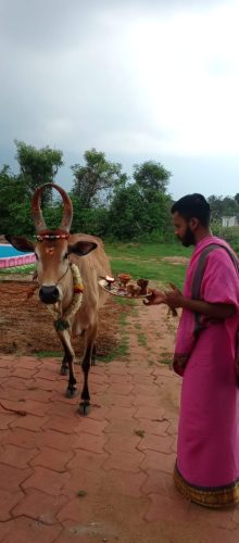 WhatsApp-Image-2025-10-17-at-8.34.31-PM-1