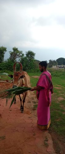 Gopuja on 18-10-2025