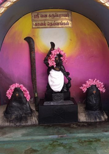 WhatsApp-Image-2025-10-18-at-11.00.19-AM-1