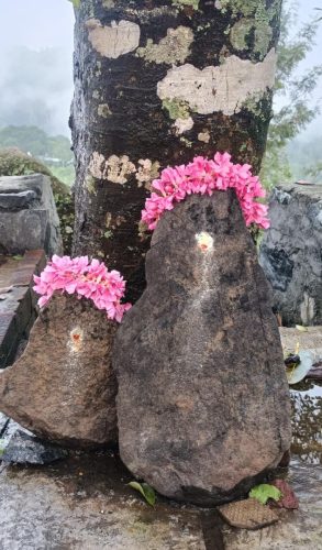 WhatsApp-Image-2025-10-18-at-11.00.21-AM-1