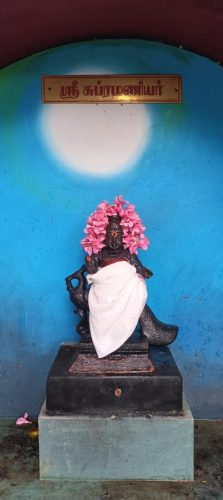 WhatsApp-Image-2025-10-18-at-11.00.21-AM