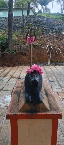 WhatsApp-Image-2025-10-18-at-11.00.22-AM-2