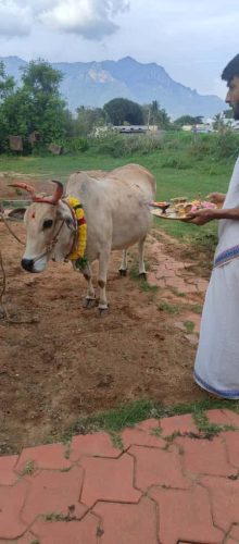 WhatsApp-Image-2025-10-19-at-10.01.24-PM