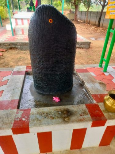 WhatsApp-Image-2025-10-19-at-12.10.57-PM