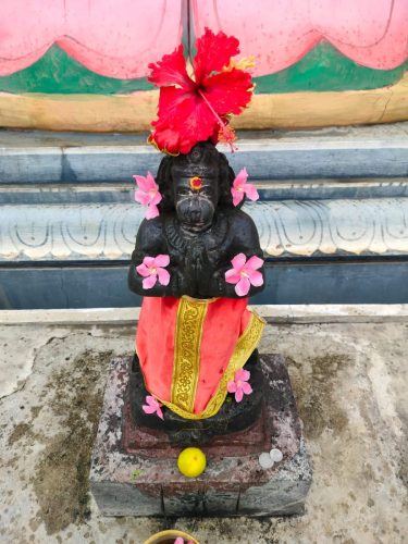 WhatsApp-Image-2025-10-19-at-12.10.58-PM-1