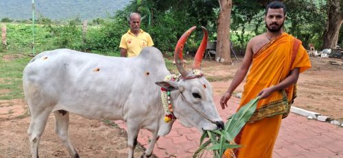 WhatsApp-Image-2025-10-21-at-1.12.56-PM-1