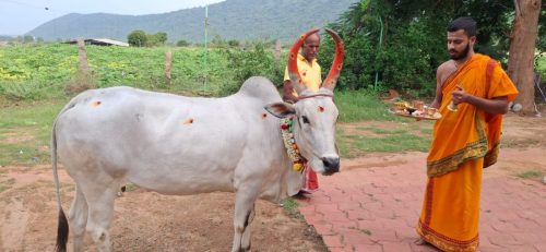 Gopuja on 20-10-2025(1)