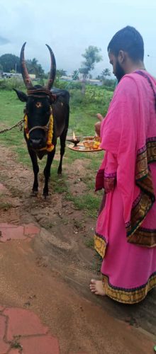 Gopuja on 21-10-2025