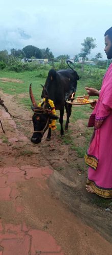 WhatsApp-Image-2025-10-21-at-5.54.40-PM-2