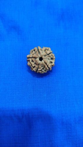 WhatsApp-Image-2025-10-22-at-4.17.48-PM