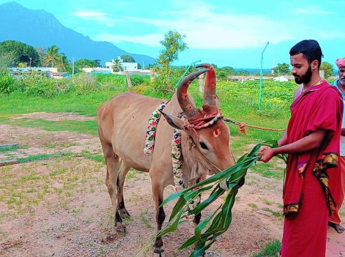 Gopuja on 23-10-2025