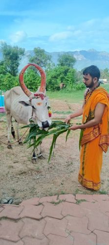 WhatsApp-Image-2025-10-25-at-5.45.13-PM