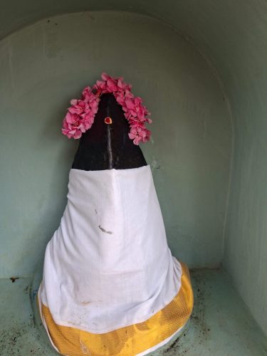 WhatsApp-Image-2025-10-26-at-11.30.09-AM-1