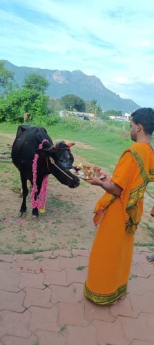 WhatsApp-Image-2025-10-26-at-5.08.07-PM-1