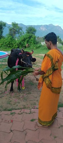 WhatsApp-Image-2025-10-26-at-5.08.07-PM