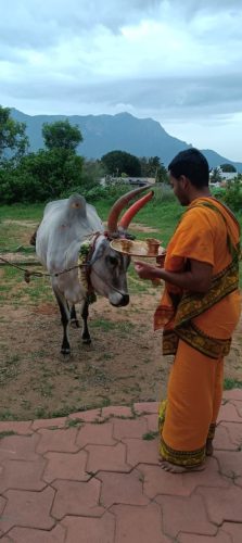 Gopuja on 28-10-2025