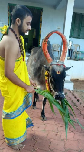 WhatsApp-Image-2025-10-30-at-10.13.50-AM-1