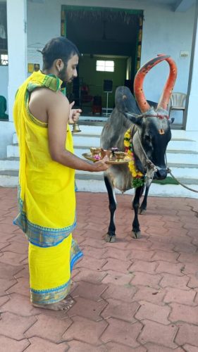 gopuja on 30-10-2025