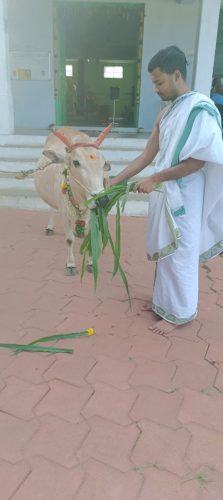 gopuja on 31-10-2025