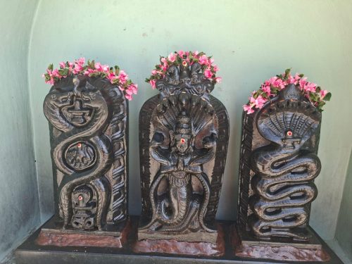 WhatsApp-Image-2025-10-31-at-12.24.33-PM