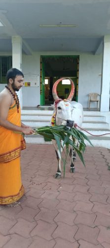 WhatsApp-Image-2025-10-31-at-5.24.58-PM