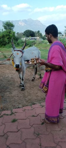 gopuja on 01-11-2025