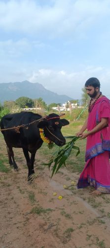 WhatsApp-Image-2025-11-03-at-7.37.27-PM