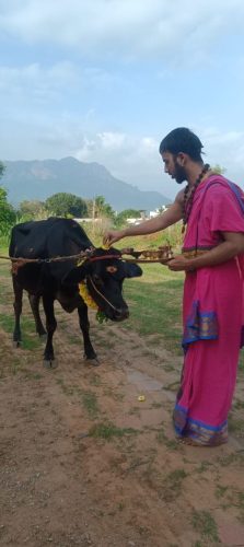 Gopuja on 03-11-2025