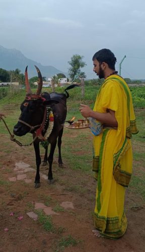 Gopuja on 05-11-2025