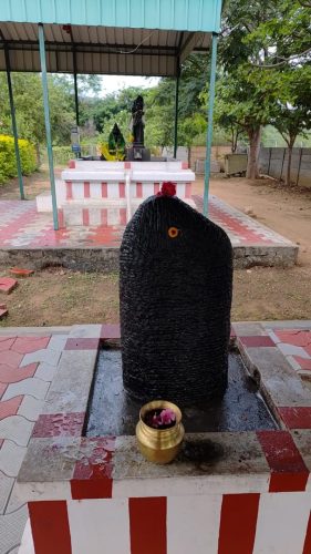 WhatsApp-Image-2025-11-06-at-3.01.40-PM