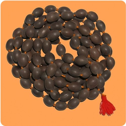 WhatsApp-Image-2025-11-07-at-6.14.08-PM-1