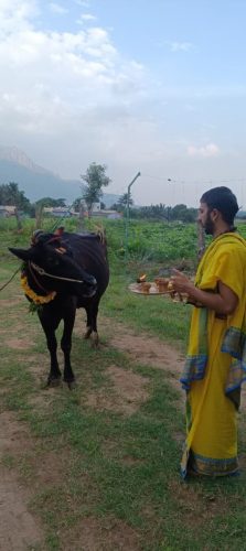 gopuja on 07-11-2025