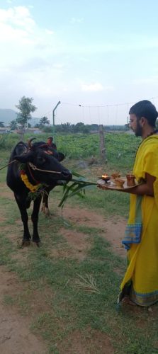 WhatsApp-Image-2025-11-07-at-6.14.11-PM