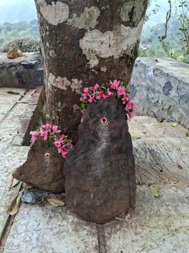 WhatsApp-Image-2025-11-08-at-4.36.30-PM-1