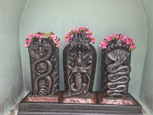 WhatsApp-Image-2025-11-08-at-4.36.30-PM-2