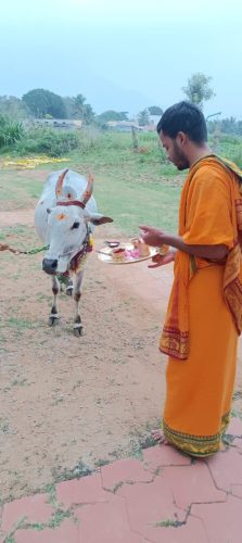 gopuja on 08-11-2025