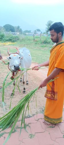 WhatsApp-Image-2025-11-08-at-4.36.34-PM-1