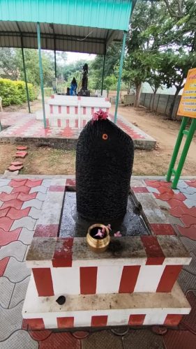 WhatsApp-Image-2025-11-11-at-8.46.06-PM-1