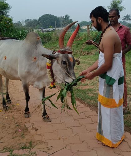 WhatsApp-Image-2025-11-11-at-8.46.10-PM