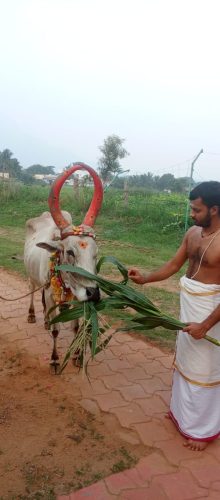 WhatsApp-Image-2025-11-12-at-4.25.04-PM