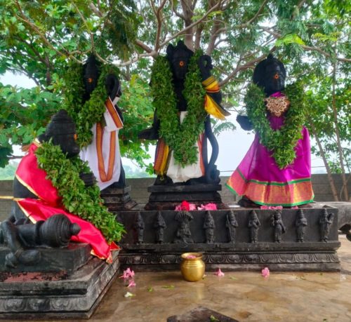 WhatsApp-Image-2025-11-15-at-9.01.49-AM