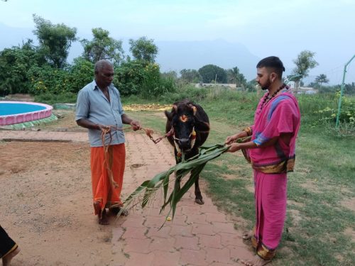 WhatsApp-Image-2025-11-17-at-4.23.37-PM-1