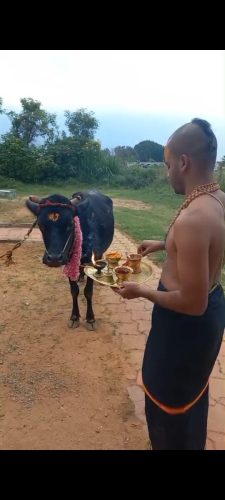 WhatsApp-Image-2025-11-18-at-8.01.39-PM-1