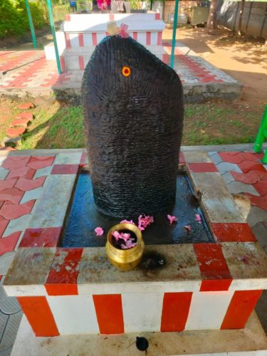 WhatsApp-Image-2025-11-19-at-11.25.54-AM